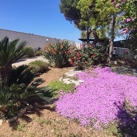 דירה Seagull Floor 1 - Sea View & Airport בארי